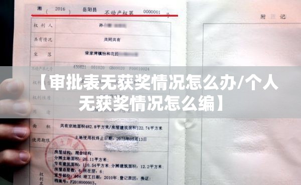【审批表无获奖情况怎么办/个人无获奖情况怎么编】