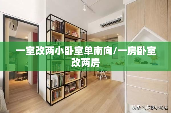 一室改两小卧室单南向/一房卧室改两房