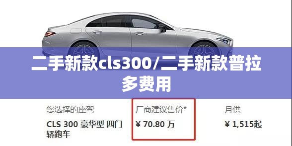 二手新款cls300/二手新款普拉多费用