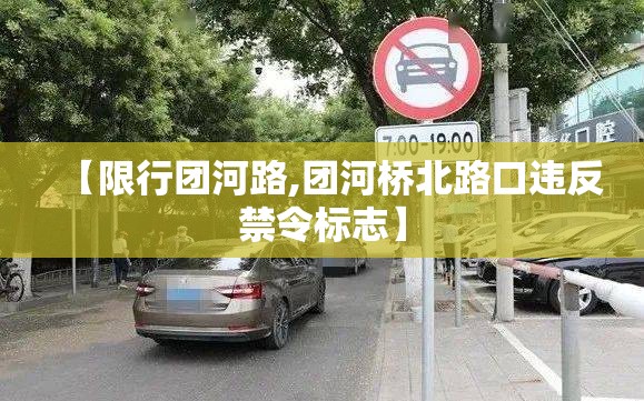 【限行团河路,团河桥北路口违反禁令标志】 【限行团河路,团河桥北路口违反禁令标志】