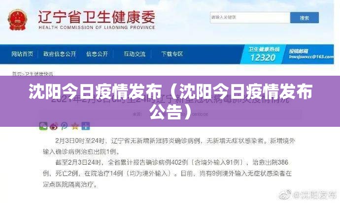 沈阳今日疫情发布（沈阳今日疫情发布公告）