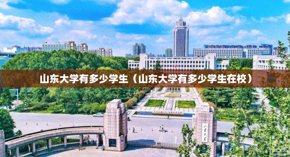 山东大学有多少学生（山东大学有多少学生在校）