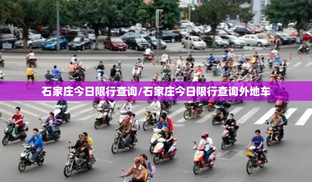 石家庄今日限行查询/石家庄今日限行查询外地车