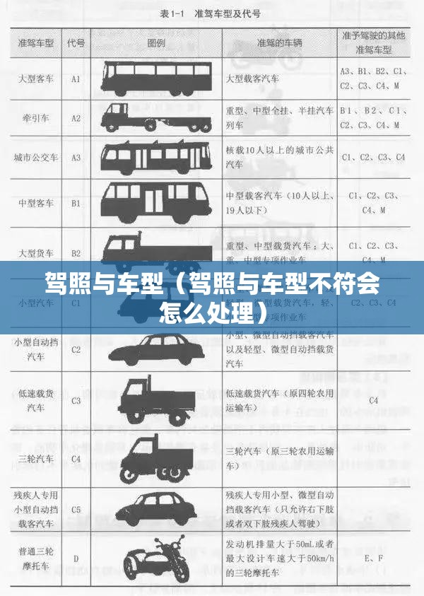 驾照与车型(驾照与车型不符会怎么处理) 驾照与车型(驾照与车型不符会怎么处理)