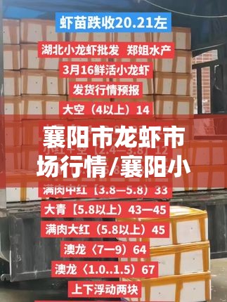 襄阳市龙虾市场行情/襄阳小龙虾排名榜 襄阳市龙虾市场行情/襄阳小龙虾排名榜