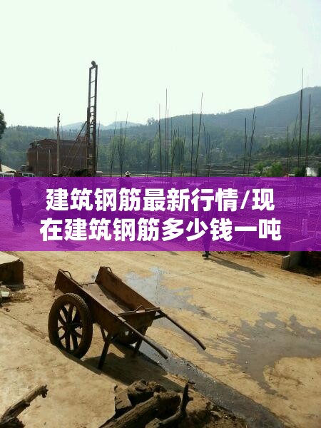 建筑钢筋最新行情/现在建筑钢筋多少钱一吨