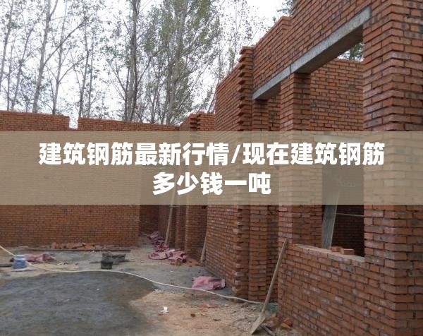 建筑钢筋最新行情/现在建筑钢筋多少钱一吨