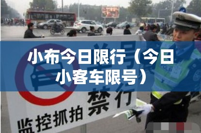 小布今日限行（今日小客车限号）