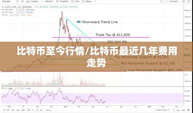 比特币至今行情/比特币最近几年费用走势