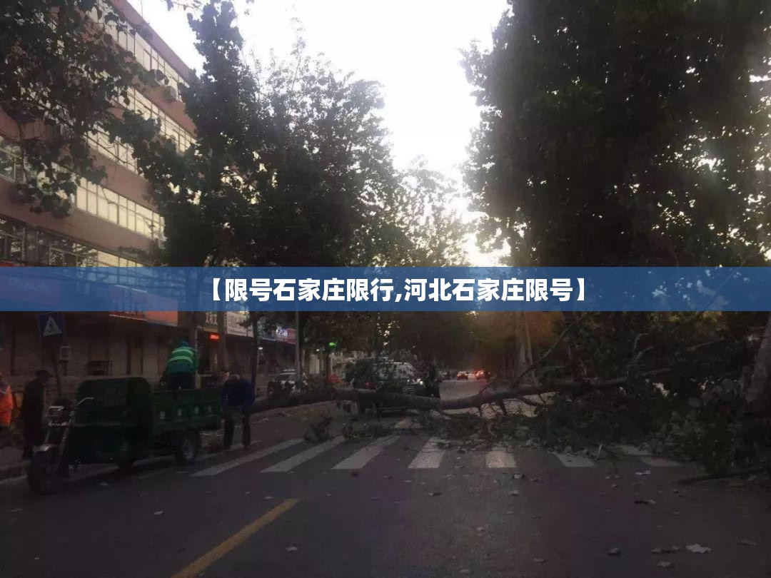 【限号石家庄限行,河北石家庄限号】 【限号石家庄限行,河北石家庄限号】