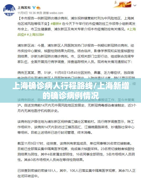 上海确诊病人行程路线/上海新增的确诊病例情况