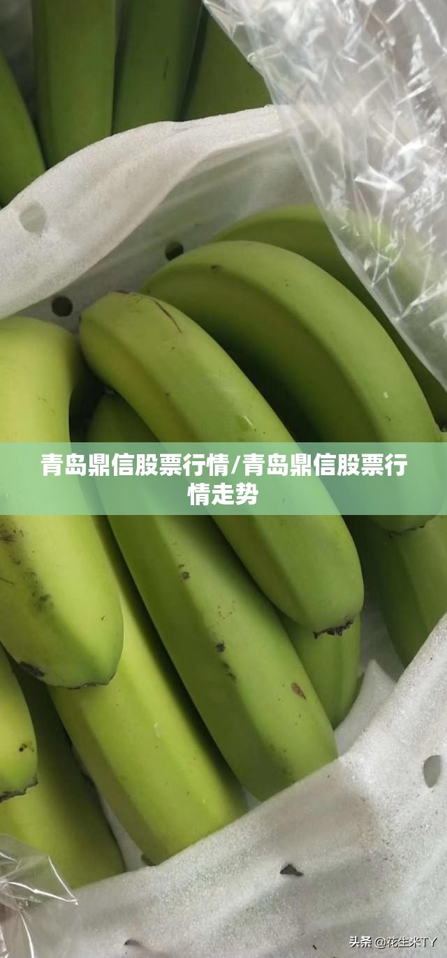 青岛鼎信股票行情/青岛鼎信股票行情走势 青岛鼎信股票行情/青岛鼎信股票行情走势
