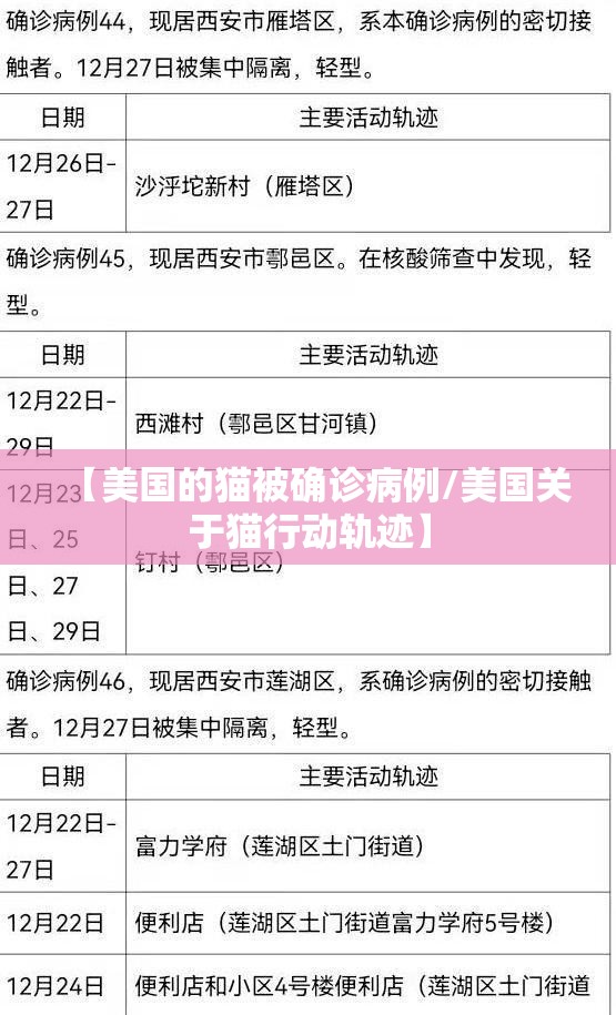 【美国的猫被确诊病例/美国关于猫行动轨迹】
