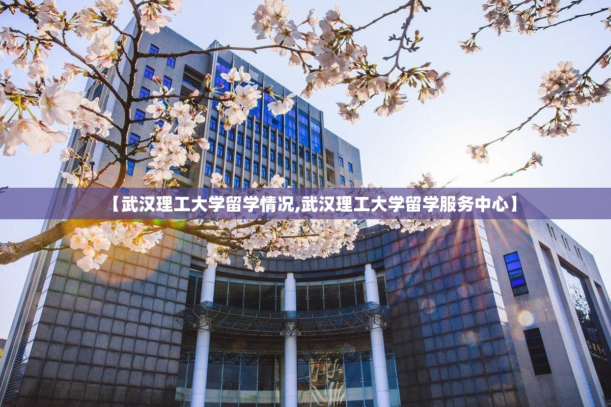 【武汉理工大学留学情况,武汉理工大学留学服务中心】