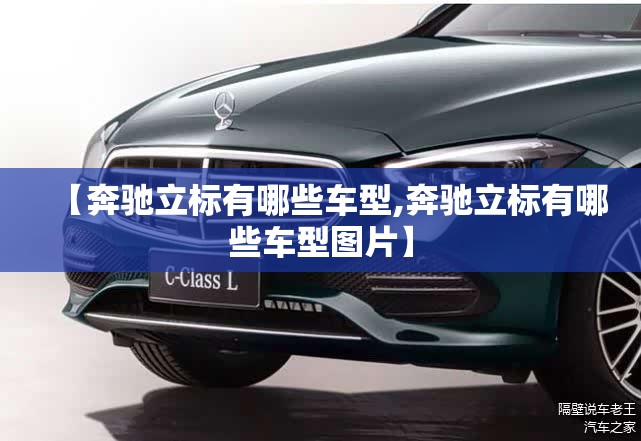 【奔驰立标有哪些车型,奔驰立标有哪些车型图片】