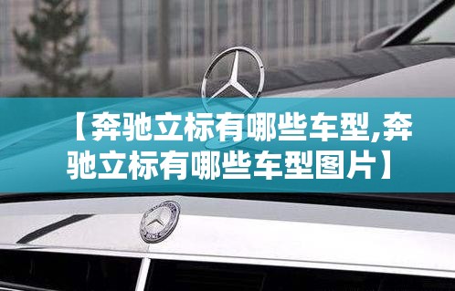 【奔驰立标有哪些车型,奔驰立标有哪些车型图片】