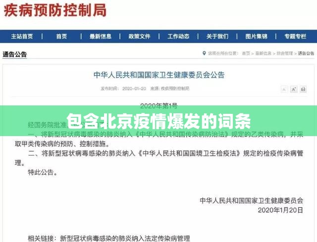 包含北京疫情爆发的词条 包含北京疫情爆发的词条