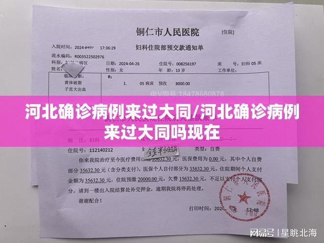 河北确诊病例来过大同/河北确诊病例来过大同吗现在 河北确诊病例来过大同/河北确诊病例来过大同吗现在