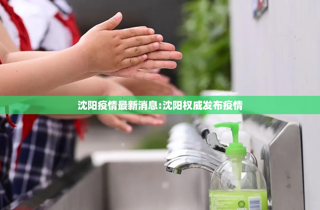 沈阳疫情最新消息:沈阳权威发布疫情 沈阳疫情最新消息:沈阳权威发布疫情