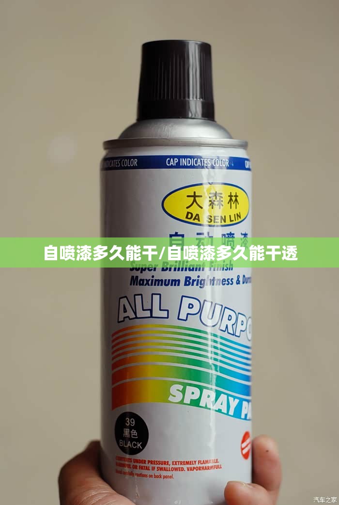 自喷漆多久能干/自喷漆多久能干透