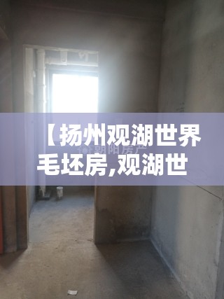 【扬州观湖世界毛坯房,观湖世界房价】