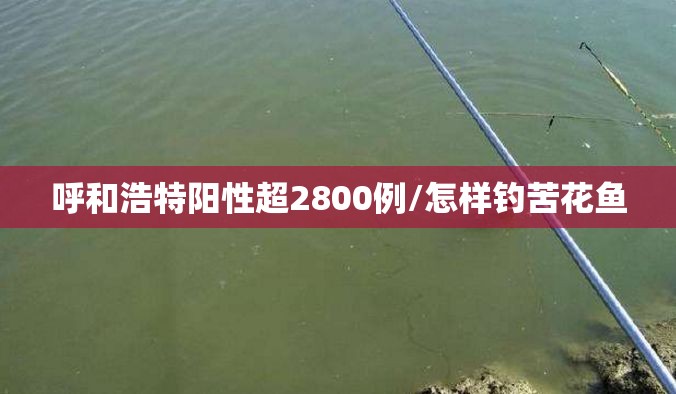 呼和浩特阳性超2800例/怎样钓苦花鱼