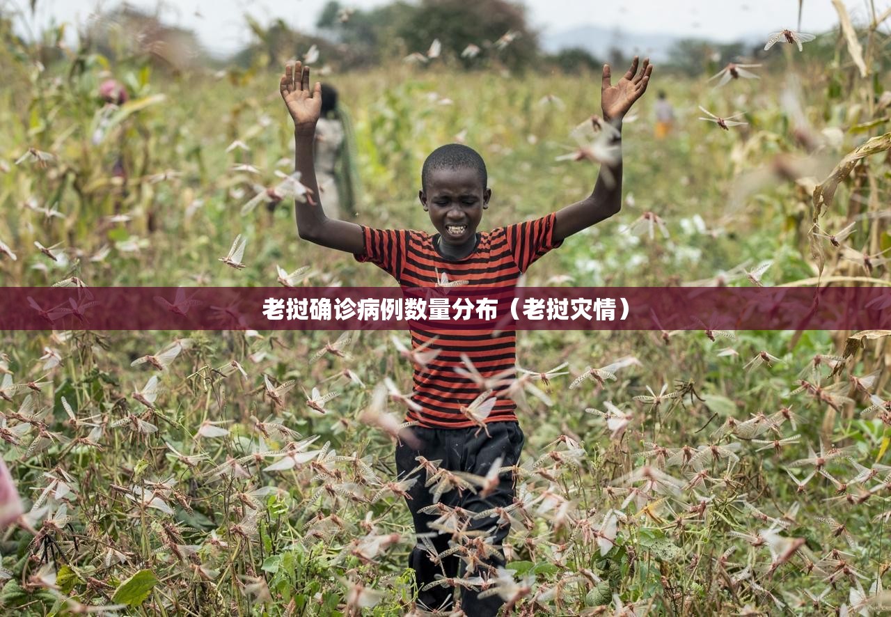 老挝确诊病例数量分布（老挝灾情）