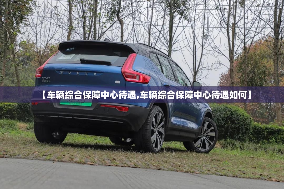 【车辆综合保障中心待遇,车辆综合保障中心待遇如何】