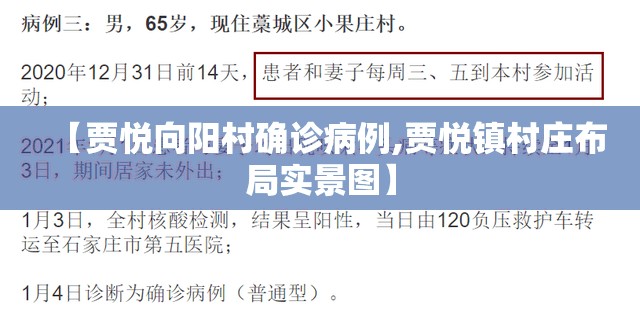 【贾悦向阳村确诊病例,贾悦镇村庄布局实景图】 【贾悦向阳村确诊病例,贾悦镇村庄布局实景图】