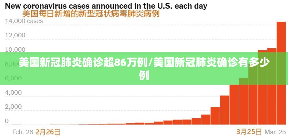 美国新冠肺炎确诊超86万例/美国新冠肺炎确诊有多少例