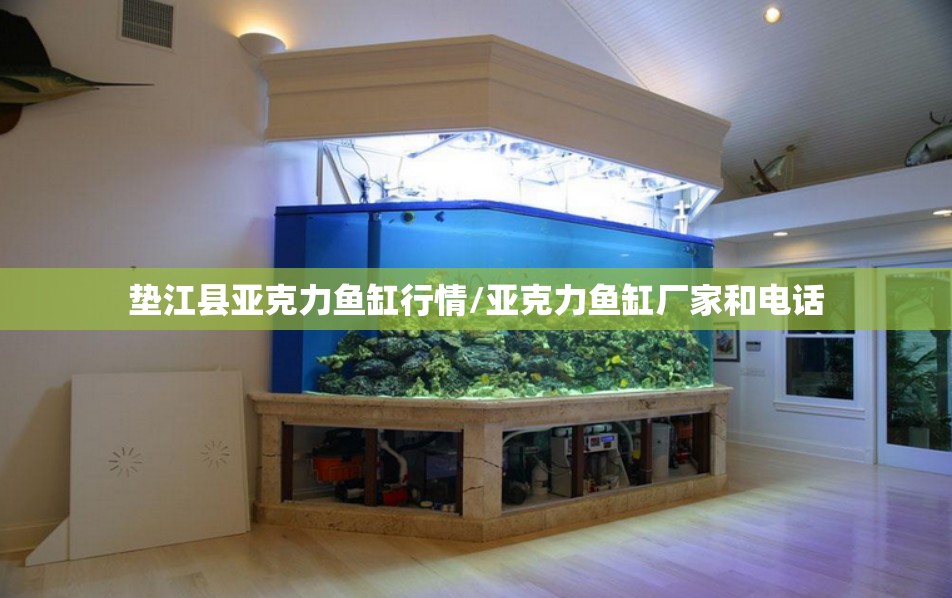 垫江县亚克力鱼缸行情/亚克力鱼缸厂家和电话