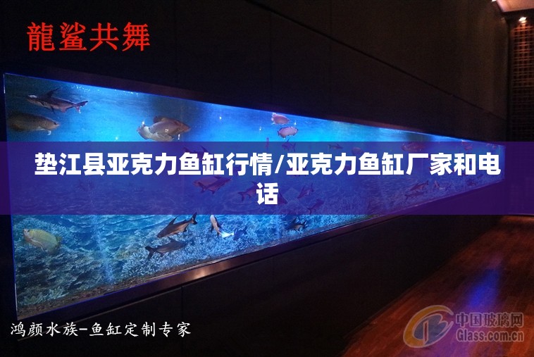 垫江县亚克力鱼缸行情/亚克力鱼缸厂家和电话
