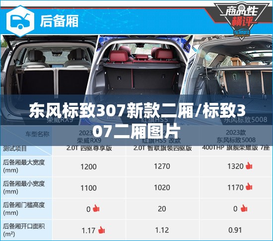 东风标致307新款二厢/标致307二厢图片