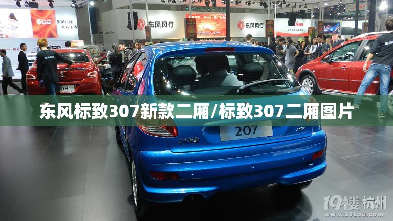 东风标致307新款二厢/标致307二厢图片 东风标致307新款二厢/标致307二厢图片