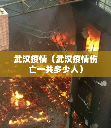 武汉疫情（武汉疫情伤亡一共多少人）