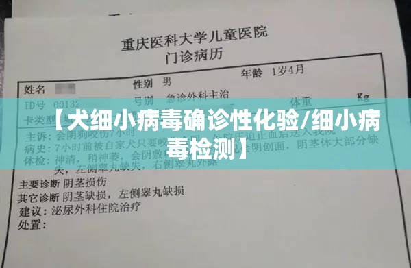 【犬细小病毒确诊性化验/细小病毒检测】