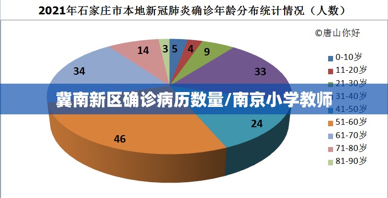 冀南新区确诊病历数量/南京小学教师