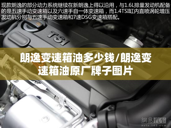朗逸变速箱油多少钱/朗逸变速箱油原厂牌子图片
