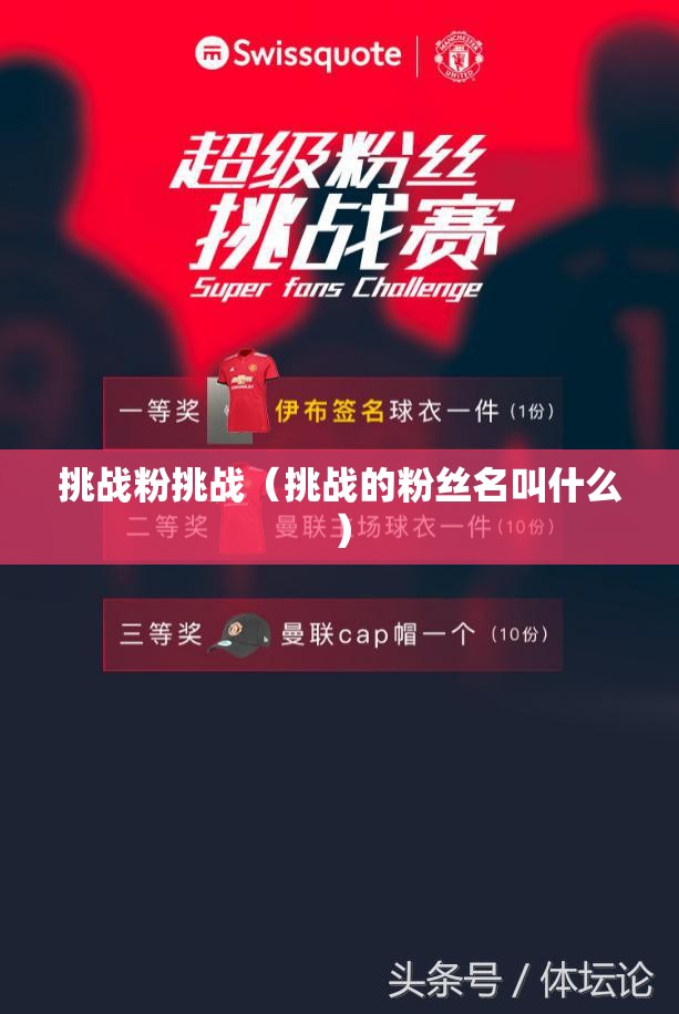 挑战粉挑战(挑战的粉丝名叫什么) 挑战粉挑战(挑战的粉丝名叫什么)