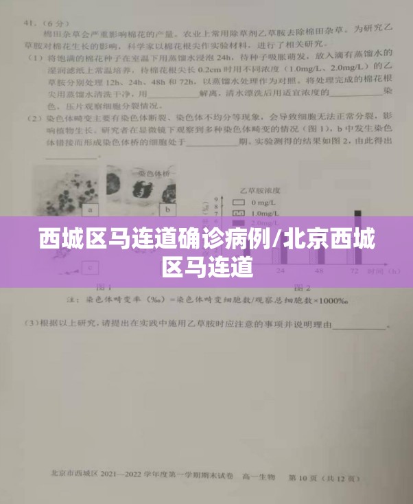 西城区马连道确诊病例/北京西城区马连道 西城区马连道确诊病例/北京西城区马连道