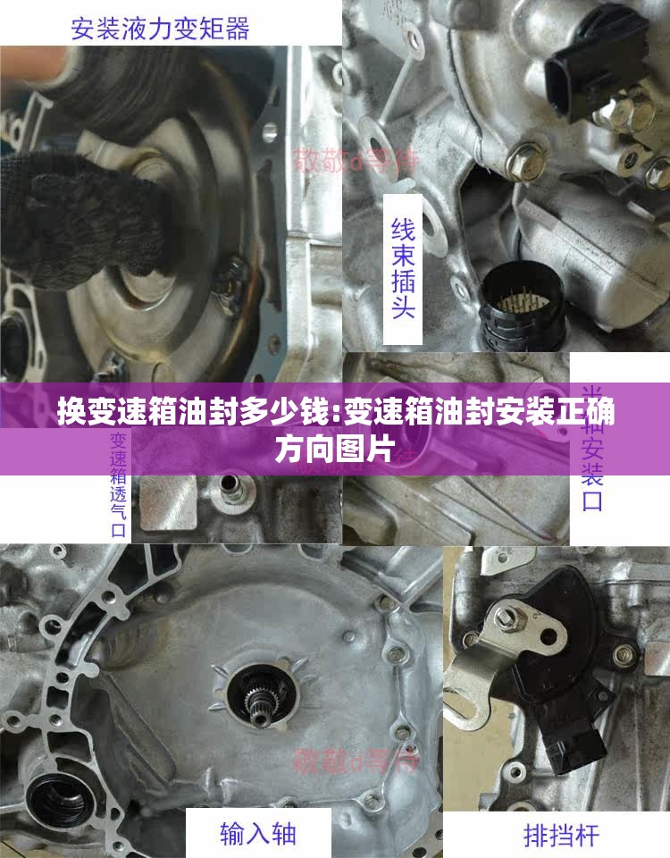 换变速箱油封多少钱:变速箱油封安装正确方向图片
