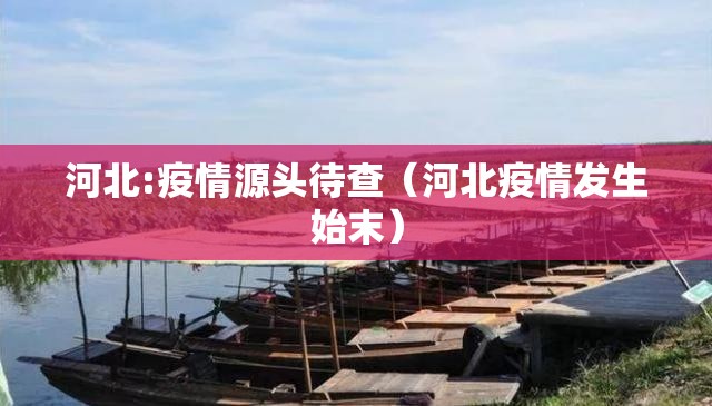 河北:疫情源头待查（河北疫情发生始末）