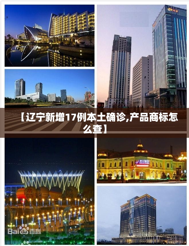 【辽宁新增17例本土确诊,产品商标怎么查】