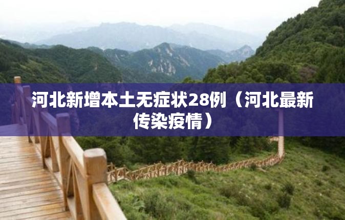 河北新增本土无症状28例（河北最新传染疫情）