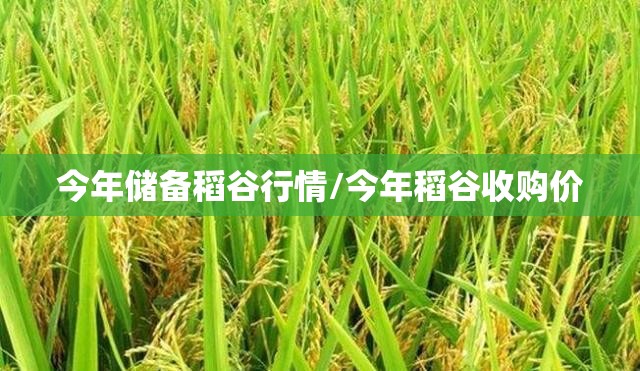 今年储备稻谷行情/今年稻谷收购价 今年储备稻谷行情/今年稻谷收购价