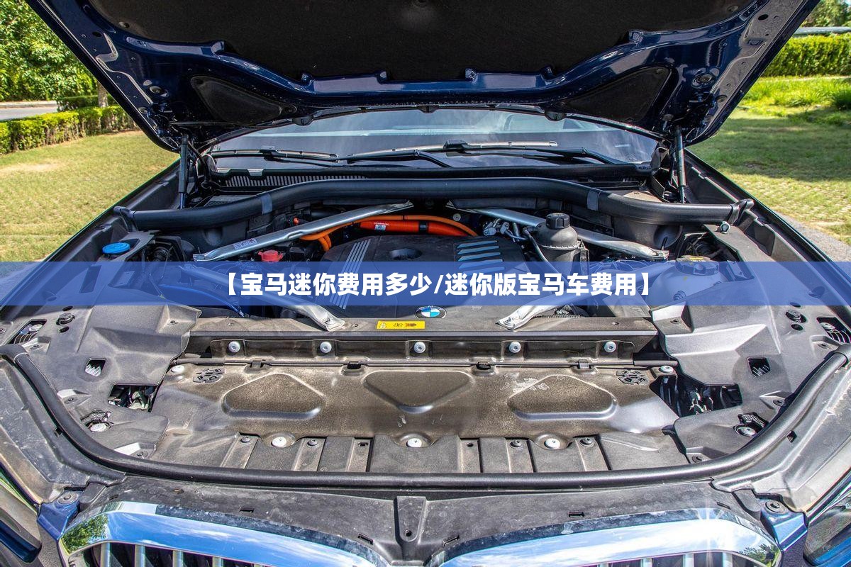 【宝马迷你费用多少/迷你版宝马车费用】