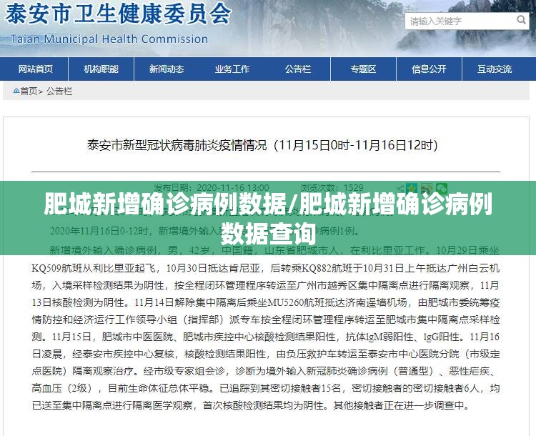 肥城新增确诊病例数据/肥城新增确诊病例数据查询 肥城新增确诊病例数据/肥城新增确诊病例数据查询