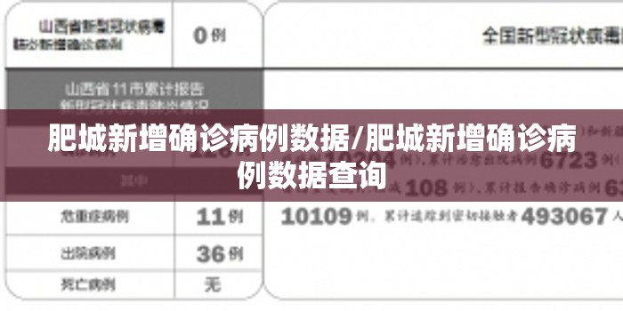 肥城新增确诊病例数据/肥城新增确诊病例数据查询 肥城新增确诊病例数据/肥城新增确诊病例数据查询