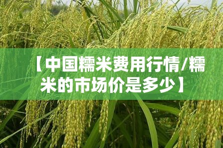 【中国糯米费用行情/糯米的市场价是多少】 【中国糯米费用行情/糯米的市场价是多少】