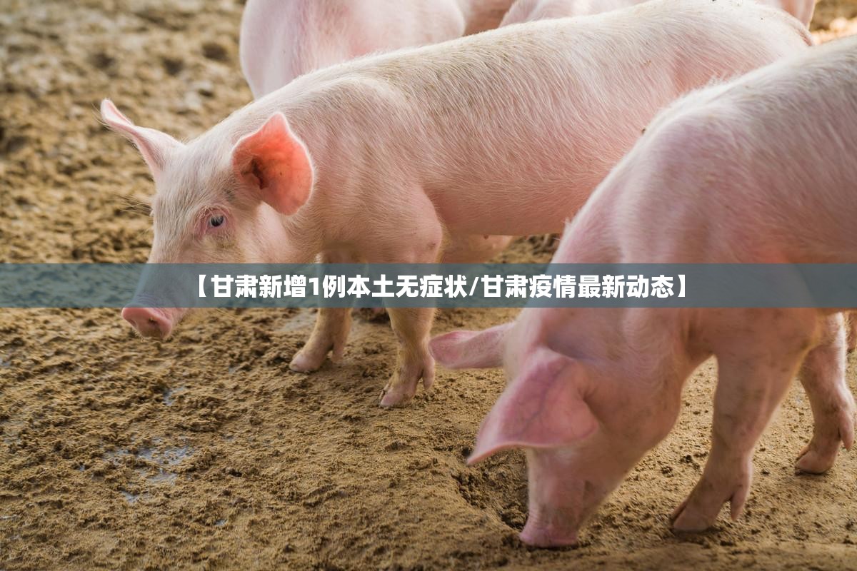【甘肃新增1例本土无症状/甘肃疫情最新动态】
